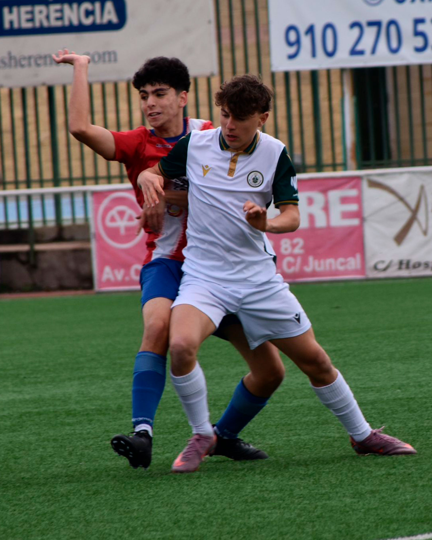 OMAR5